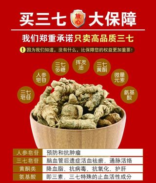 三七活动 三七功效图片