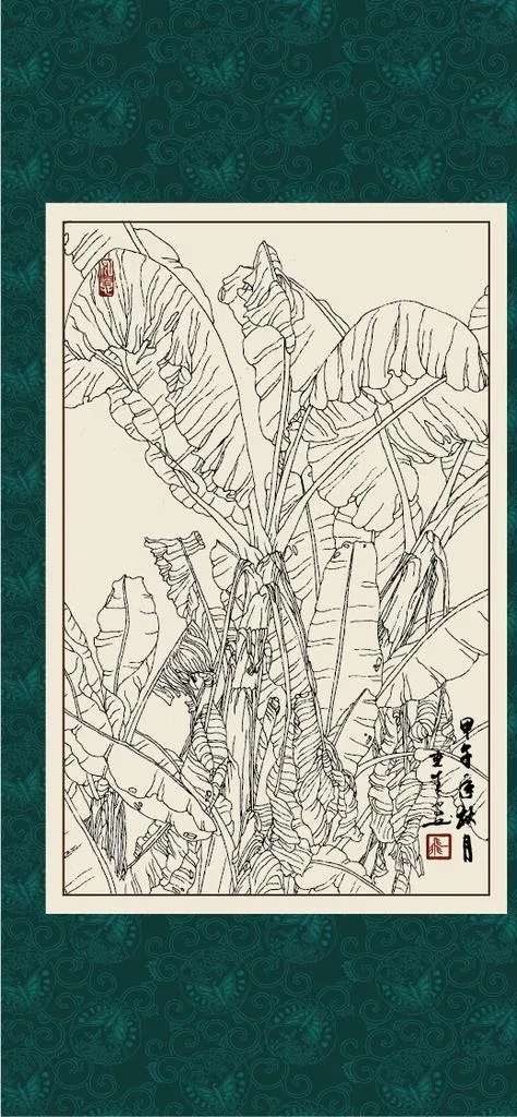 白描芭蕉图片ai矢量模版下载