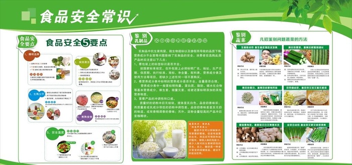 食品安全图片cdr矢量模版下载