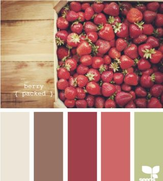 实物配色卡图片