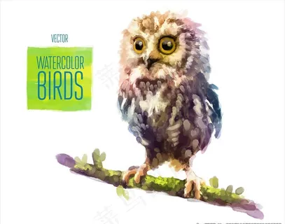 手绘水彩猫头鹰矢量图下载图片