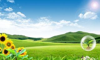 蓝天白云草地图片