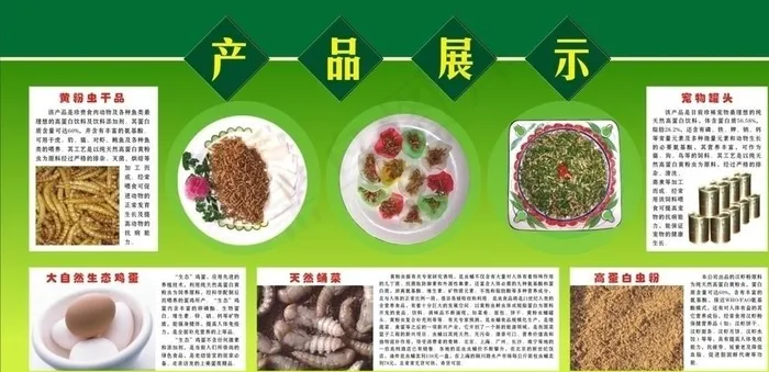黄粉虫图片cdr矢量模版下载