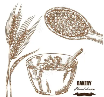 小麦与麦片插画图片