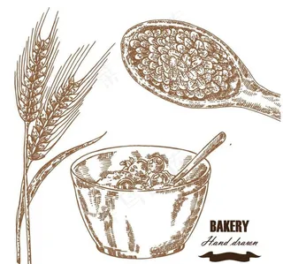 小麦与麦片插画图片