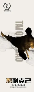 跆拳道 跆拳道海报图片