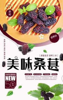 简约大气桑葚海报图片