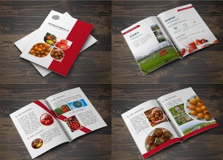 水果宣传画册图片