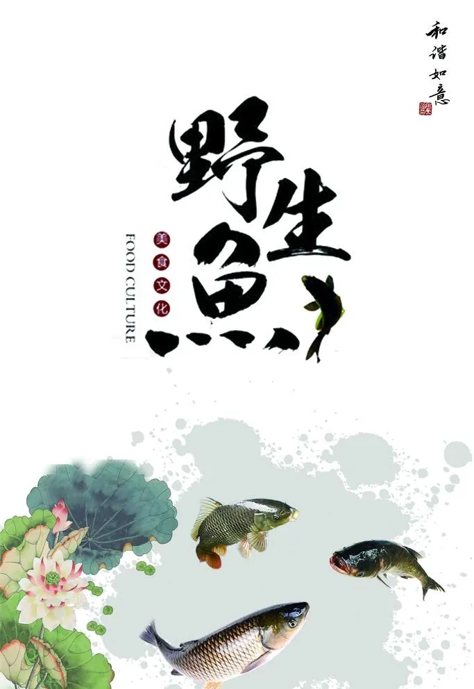 野生鱼图片