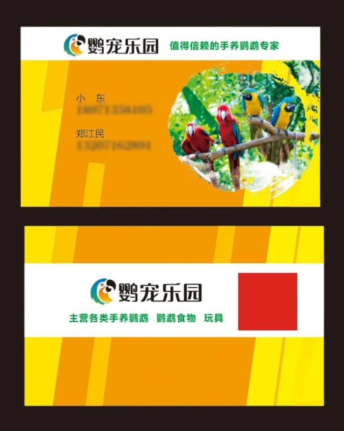 鹦鹉名片图片cdr矢量模版下载