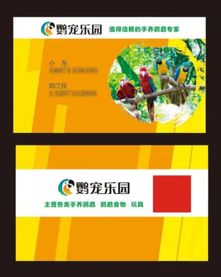 鹦鹉名片图片