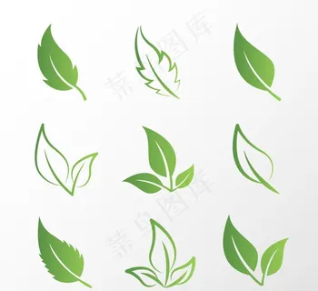 绿叶图片