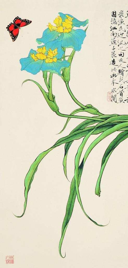兰花图片