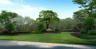 空地绿化组团效果图图片