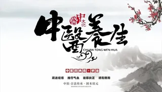 中医养生海报  图片