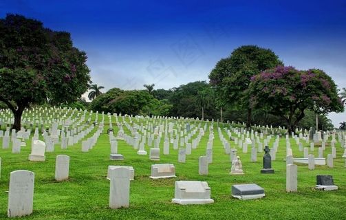 公园烈士墓地图片