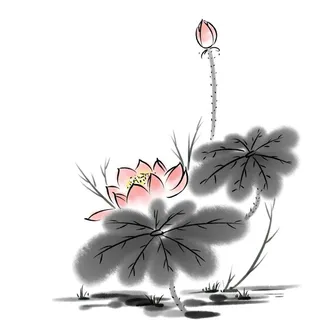 水墨荷花图片
