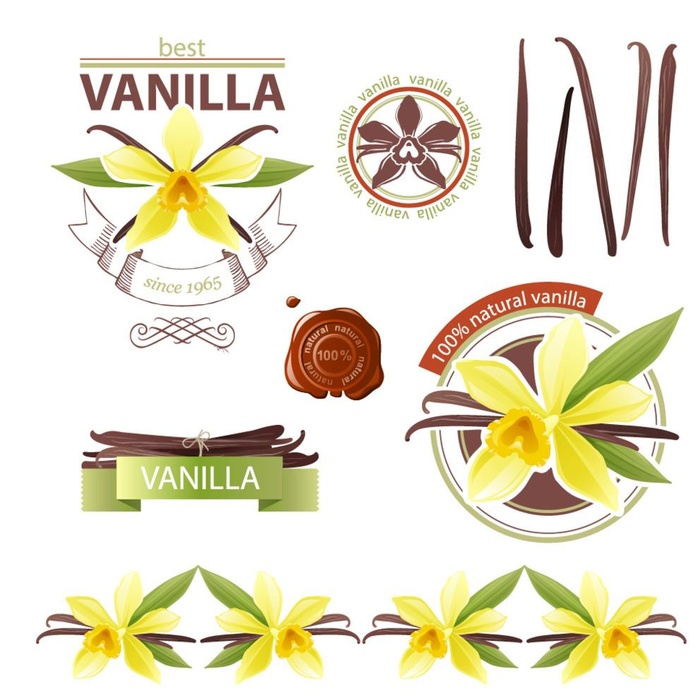 香草花卉花纹矢量素材图片