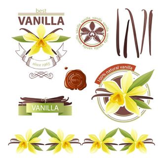 香草花卉花纹矢量素材图片