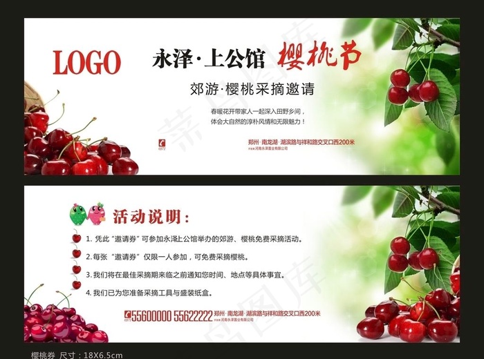 樱桃图片
