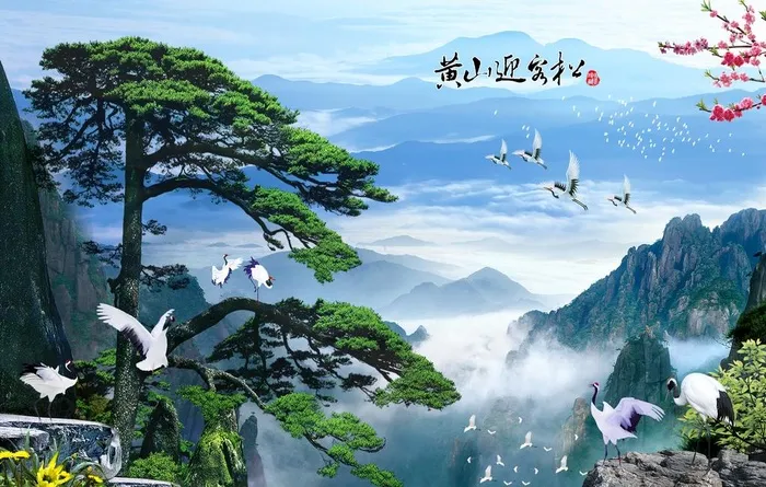 黄山迎客松图片