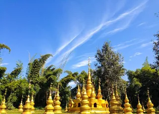 西双版纳风景图图片