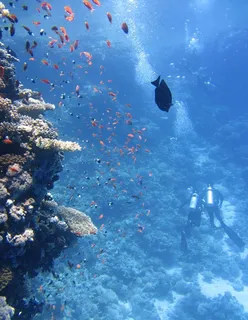 海底世界 图片 海底世界 图片