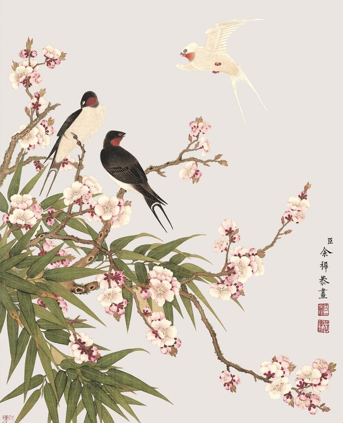 花鸟画图片(3248x4134)