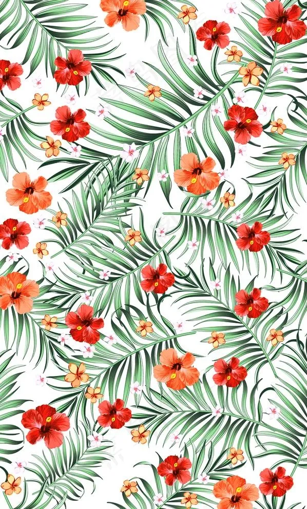 花图片
