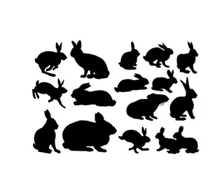兔子剪影 图片