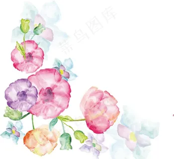 水彩花图片 水彩花图片