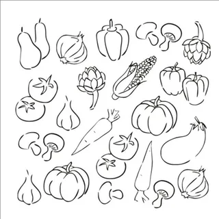 蔬菜矢量图图片