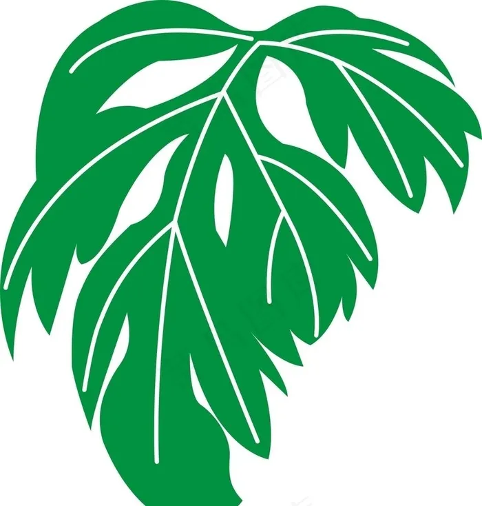 矢量手绘艾叶图片cdr矢量模版下载