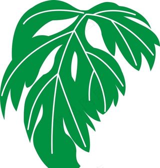 矢量手绘艾叶图片