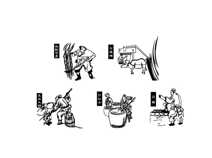 红糖 制糖工艺图片ai矢量模版下载