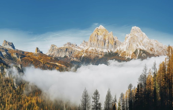 森林山峰图片