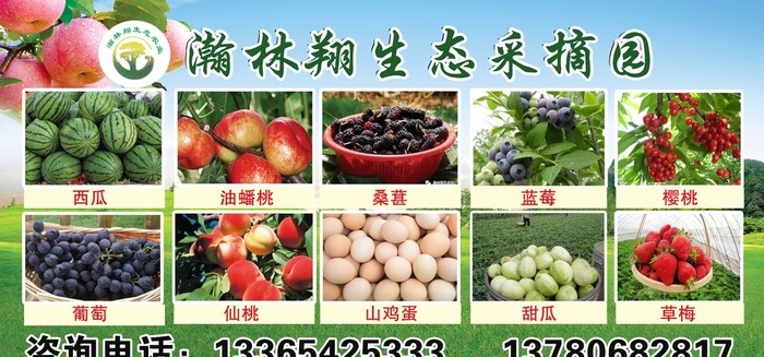 瀚林翔生态采摘园海报图片(11851x5906)psd模版下载