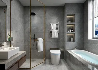 室内卫生间图片