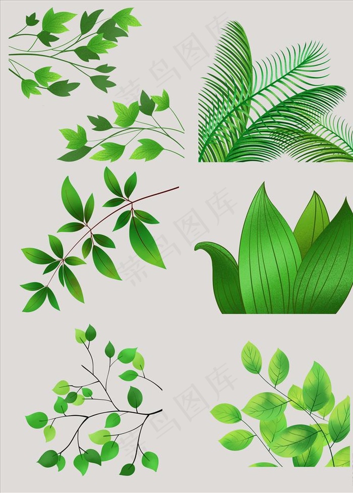 绿叶素材图片(3072x4107)psd模版下载