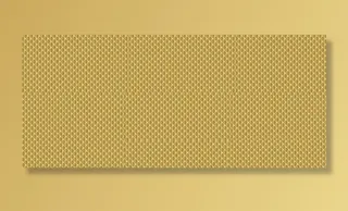 金色             图片