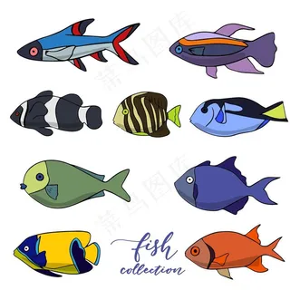 鱼手绘 海洋鱼 鱼插画  鱼素图片
