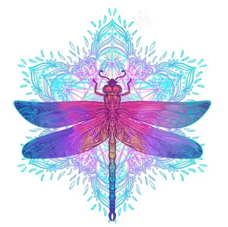 蜻蜓曼陀罗图片