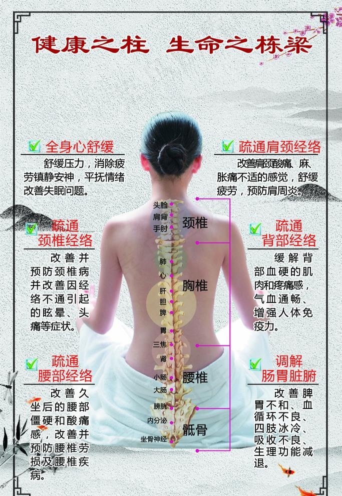 脊柱调理图片(2126x3189)