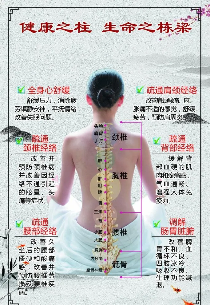 脊柱调理图片(2126x3189)
