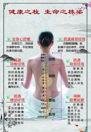 脊柱调理图片