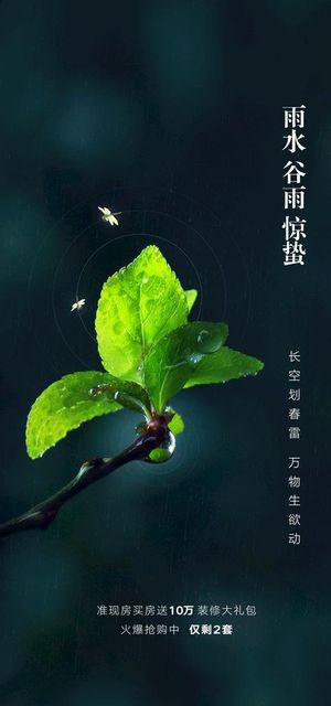 惊蛰宣传图图片