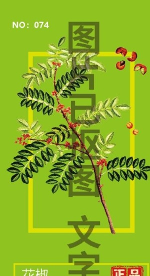 花椒图片