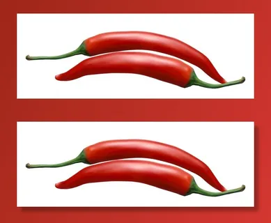 矢量手绘朝天椒辣椒图片 矢量手绘朝天椒辣椒图片