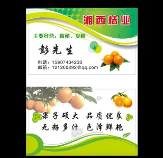 橘子名片 湘西桔业 桔子名片图片