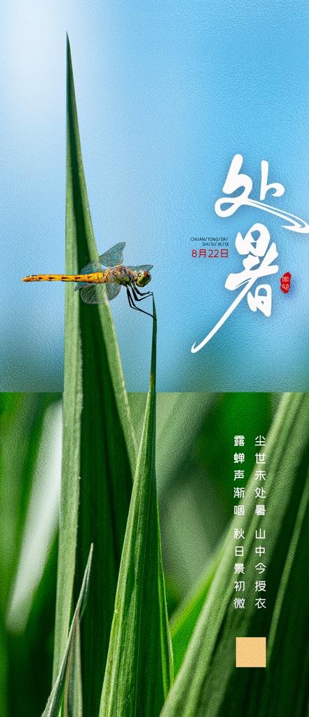 处暑 微信 地产24节气图片(1125x2436)psd模版下载